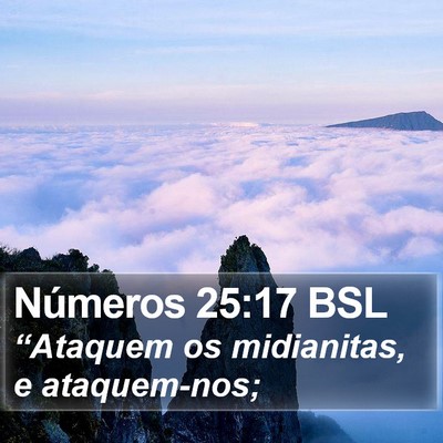 Números 25:17 BSL Bible Verse Image