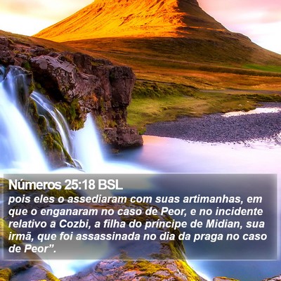 Números 25:18 BSL Bible Verse Image