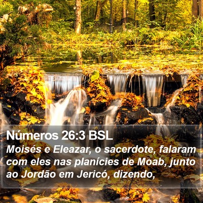 Números 26:3 BSL Bible Verse Image
