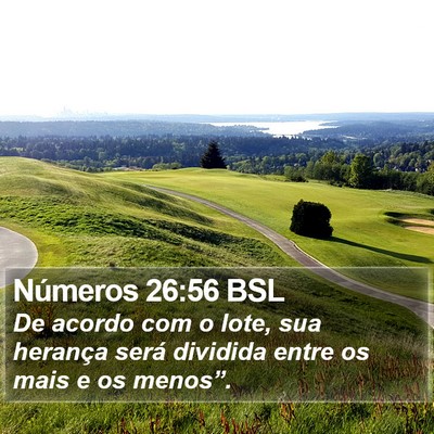 Números 26:56 BSL Bible Verse Image