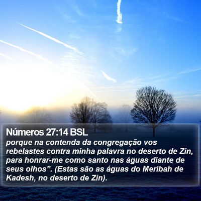 Números 27:14 BSL Bible Verse Image