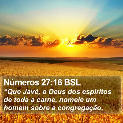 Números 27:16 BSL Bible Verse Image