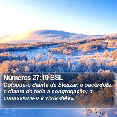 Números 27:19 BSL Bible Verse Image