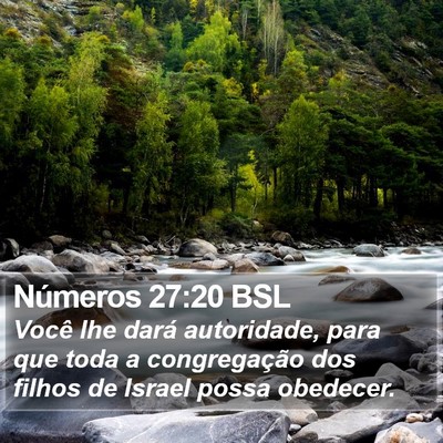 Números 27:20 BSL Bible Verse Image