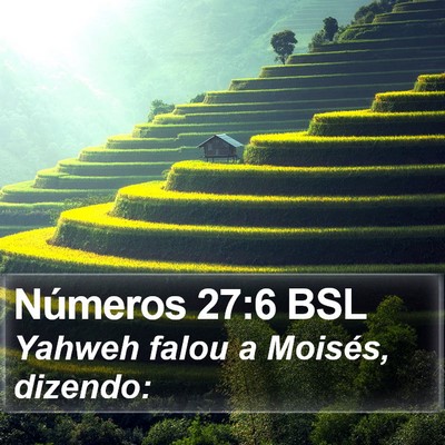 Números 27:6 BSL Bible Verse Image
