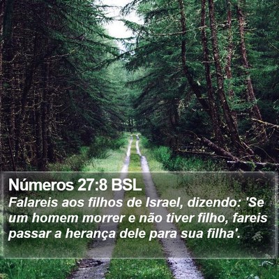 Números 27:8 BSL Bible Verse Image