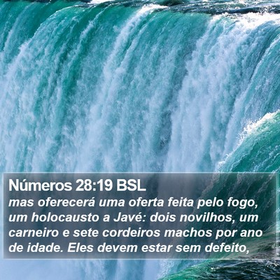 Números 28:19 BSL Bible Verse Image
