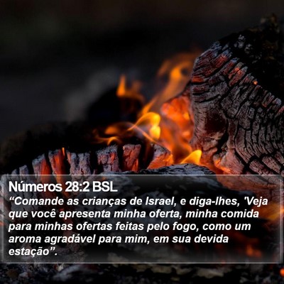 Números 28:2 BSL Bible Verse Image