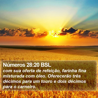 Números 28:20 BSL Bible Verse Image