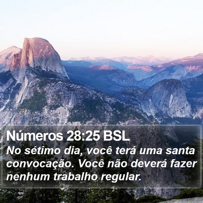 Números 28:25 BSL Bible Verse Image
