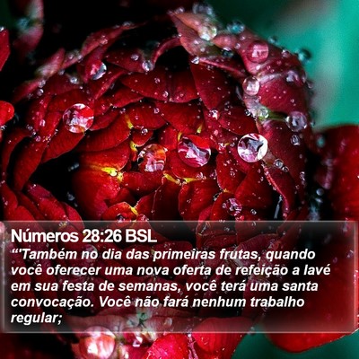 Números 28:26 BSL Bible Verse Image