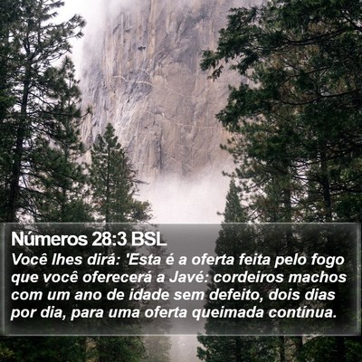 Números 28:3 BSL Bible Verse Image
