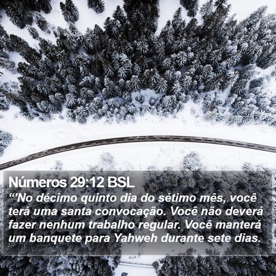 Números 29:12 BSL Bible Verse Image