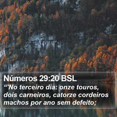 Números 29:20 BSL Bible Verse Image
