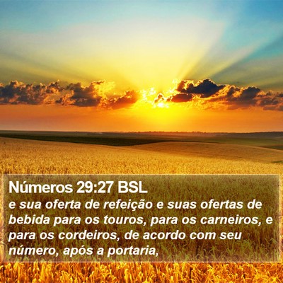 Números 29:27 BSL Bible Verse Image