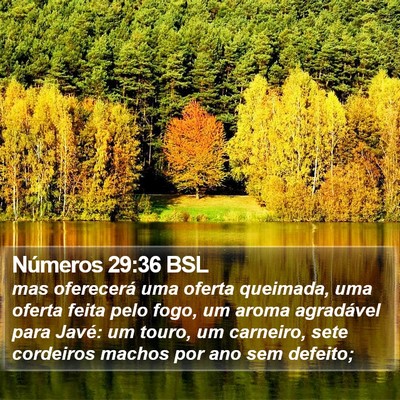 Números 29:36 BSL Bible Verse Image