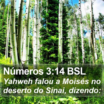 Números 3:14 BSL Bible Verse Image