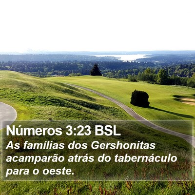 Números 3:23 BSL Bible Verse Image