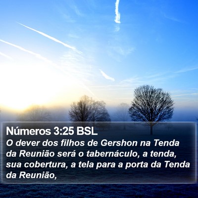 Números 3:25 BSL Bible Verse Image