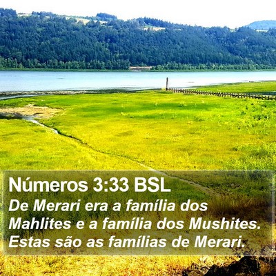 Números 3:33 BSL Bible Verse Image