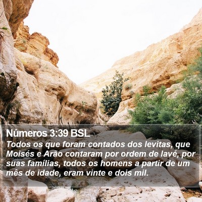 Números 3:39 BSL Bible Verse Image