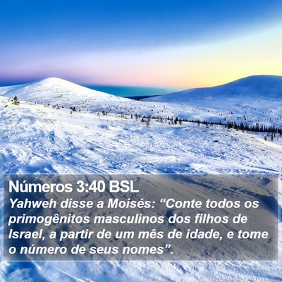 Números 3:40 BSL Bible Verse Image