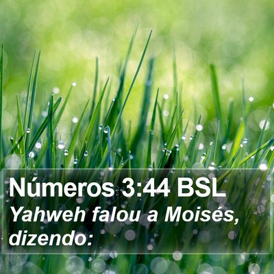Números 3:44 BSL Bible Verse Image
