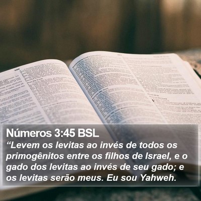 Números 3:45 BSL Bible Verse Image