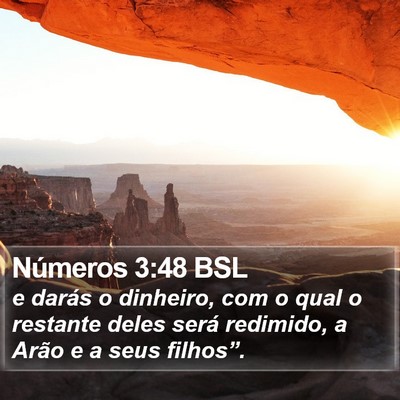 Números 3:48 BSL Bible Verse Image