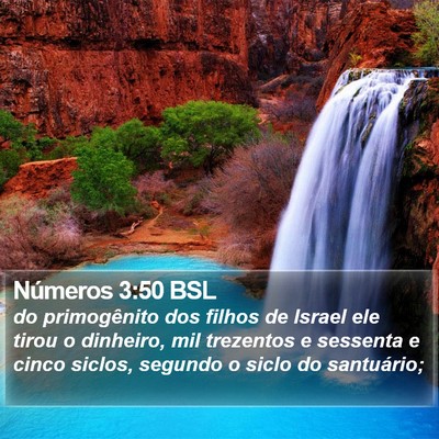 Números 3:50 BSL Bible Verse Image