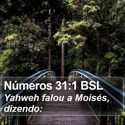 Números 31:1 BSL Bible Verse Image