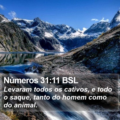 Números 31:11 BSL Bible Verse Image