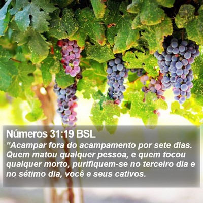 Números 31:19 BSL Bible Verse Image