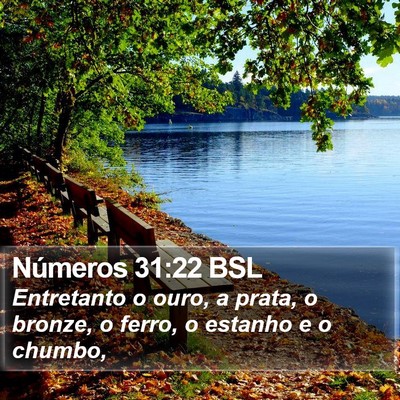 Números 31:22 BSL Bible Verse Image