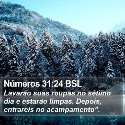 Números 31:24 BSL Bible Verse Image