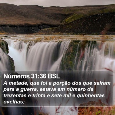 Números 31:36 BSL Bible Verse Image