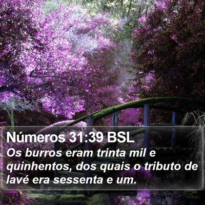 Números 31:39 BSL Bible Verse Image