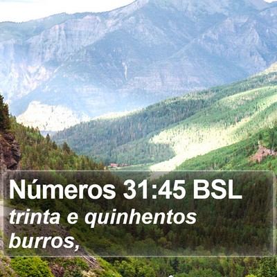 Números 31:45 BSL Bible Verse Image