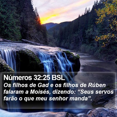 Números 32:25 BSL Bible Verse Image
