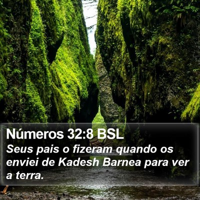 Números 32:8 BSL Bible Verse Image