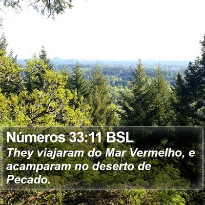 Números 33:11 BSL Bible Verse Image