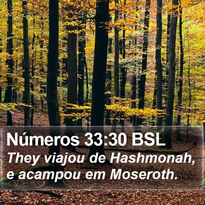 Números 33:30 BSL Bible Verse Image