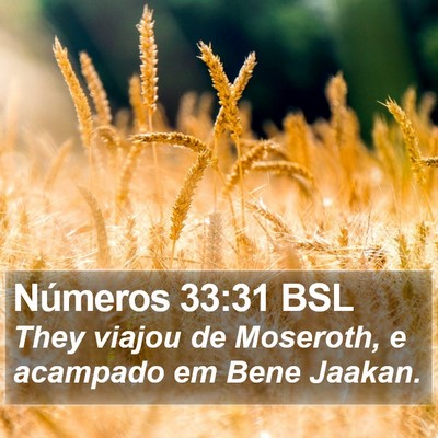 Números 33:31 BSL Bible Verse Image