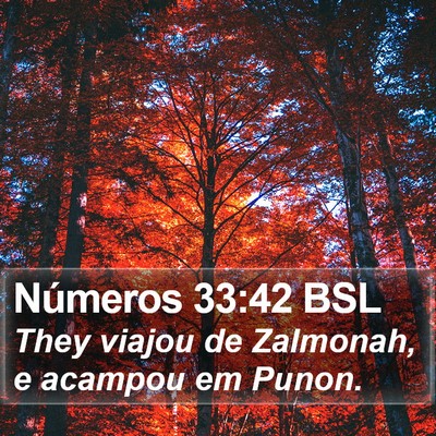Números 33:42 BSL Bible Verse Image