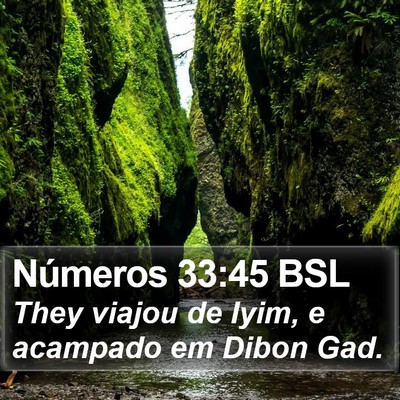 Números 33:45 BSL Bible Verse Image