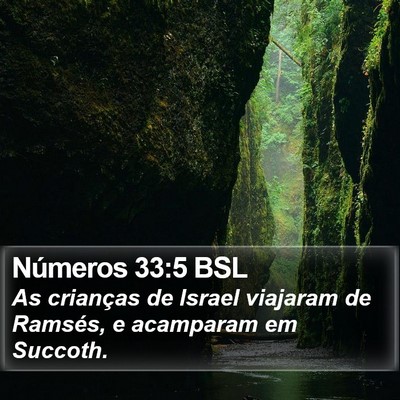 Números 33:5 BSL Bible Verse Image
