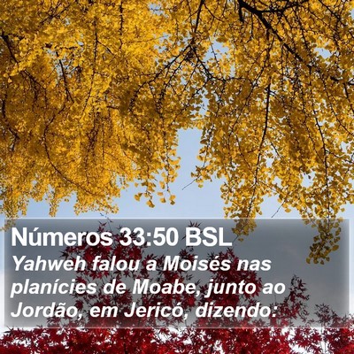 Números 33:50 BSL Bible Verse Image