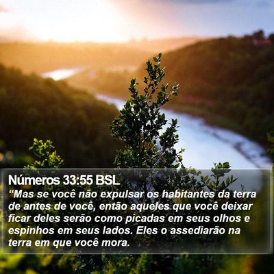 Números 33:55 BSL Bible Verse Image
