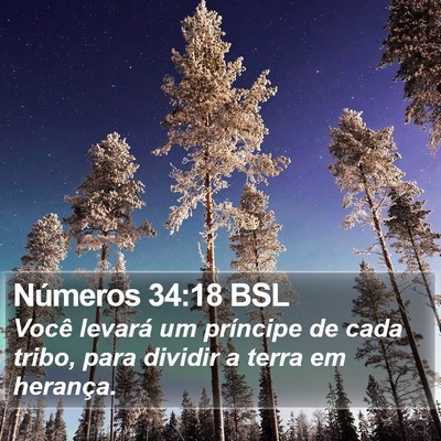 Números 34:18 BSL Bible Verse Image