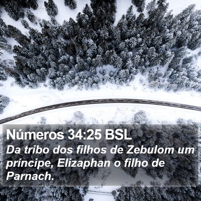 Números 34:25 BSL Bible Verse Image